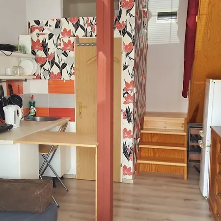 Two-room Studio With Parking 公寓 *