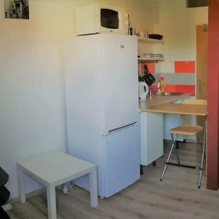 Two-room Studio With Parking 布拉格
